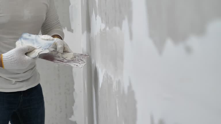 Best Drywall Removal and Disposal  in Verona Walk, FL