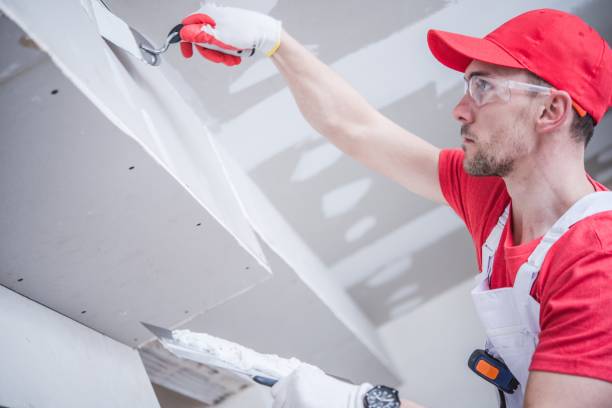 Best Fire-Damaged Drywall Repair  in Verona Walk, FL